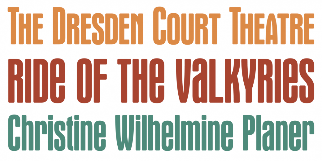 Wagner Round Regular Font preview